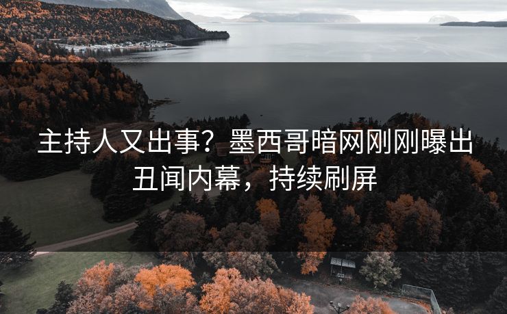 主持人又出事？墨西哥暗网刚刚曝出丑闻内幕，持续刷屏