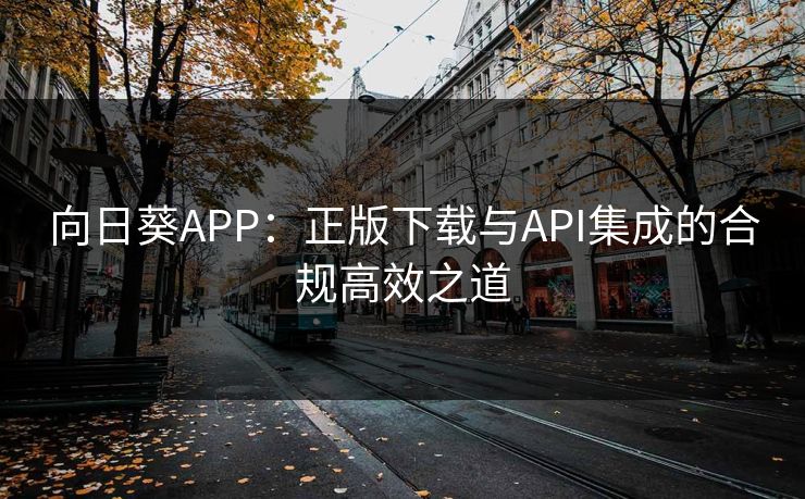 向日葵APP：正版下载与API集成的合规高效之道