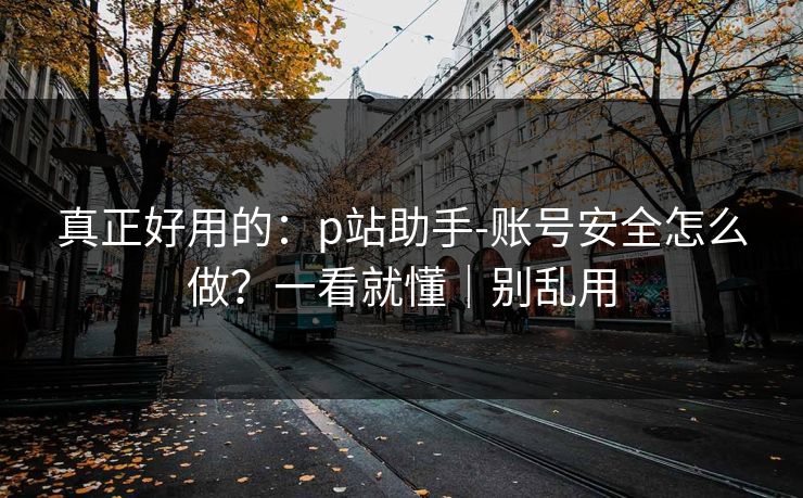 真正好用的：p站助手-账号安全怎么做？一看就懂｜别乱用