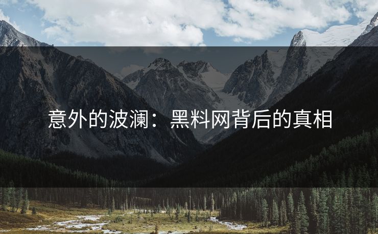 意外的波澜：黑料网背后的真相